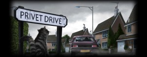 1-001 - Number Four Privet Drive01